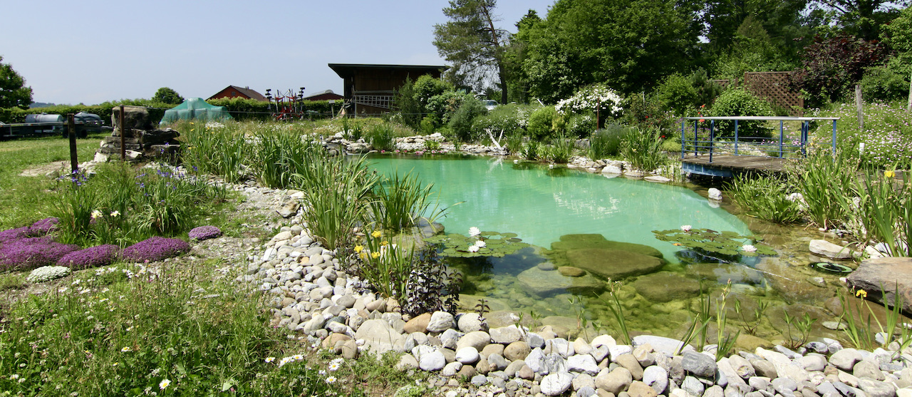 Baignade naturelle BioNova  