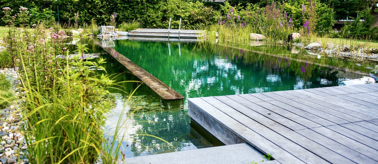 Piscine biologique Haute Garonne - 31