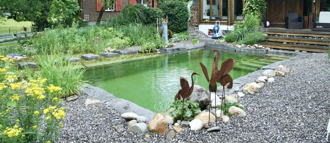 Piscine naturelle 