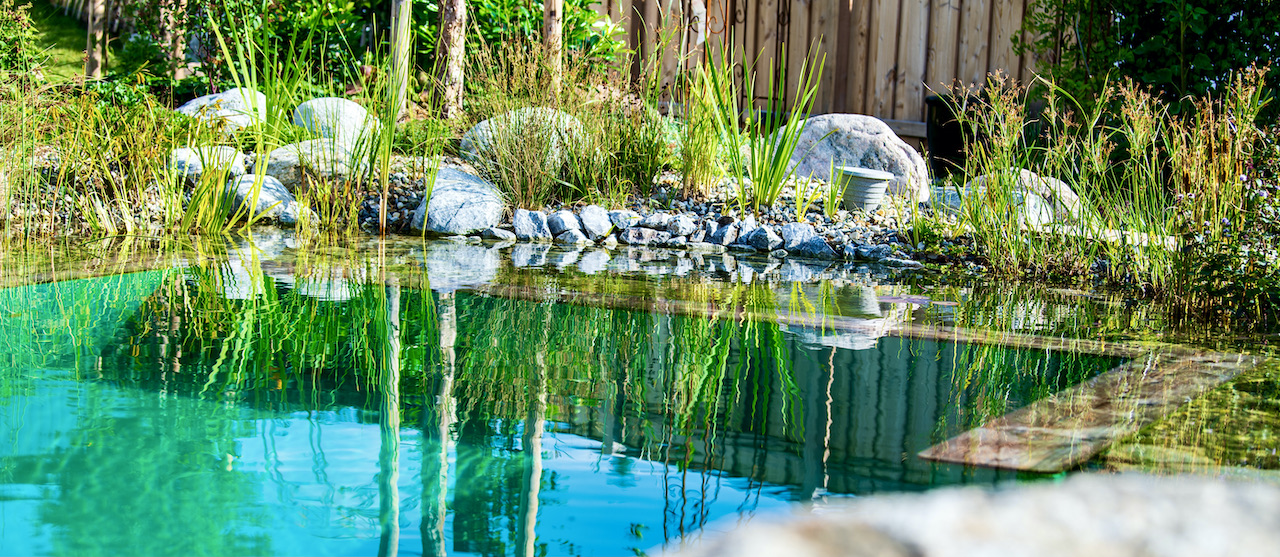 Piscine naturelle BioNova  