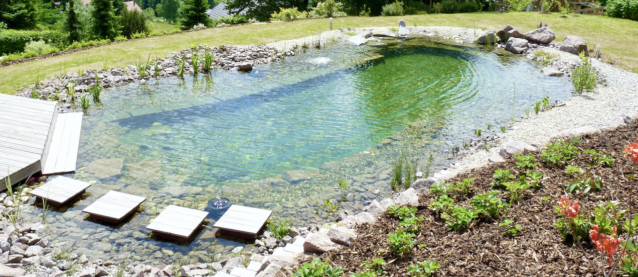 Piscine naturelle Alsace     