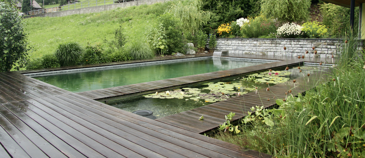 Piscine naturelle BioNova - Suisse