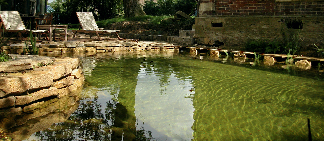 Piscine naturelle Yvelines - 78