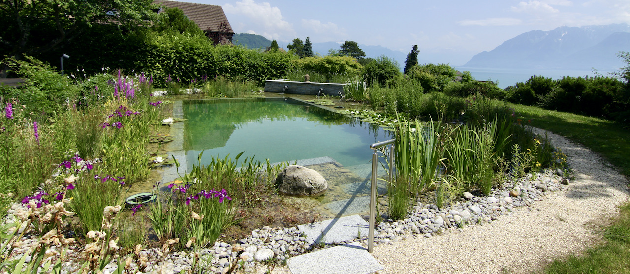 Piscine écologique Suisse