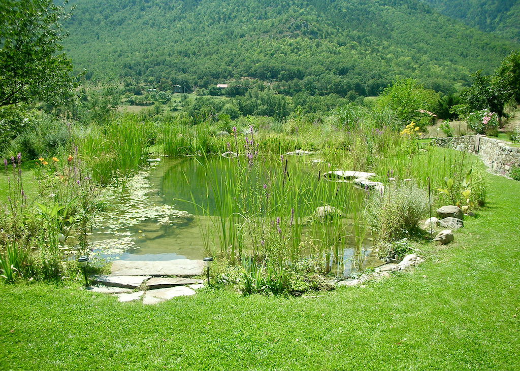 Baignade biologique - Baignade paysagère