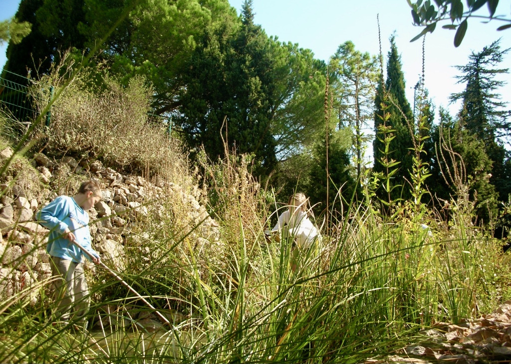 Baignade biologique - Entretien piscine naturelle