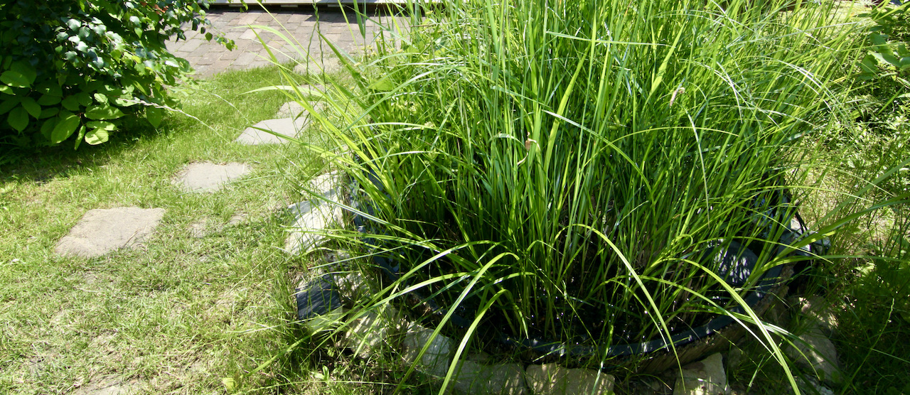 Piscine naturelle à filtration biologique - Filtre Biologique Compacte