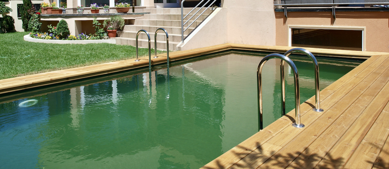 Piscine naturelle - Pool