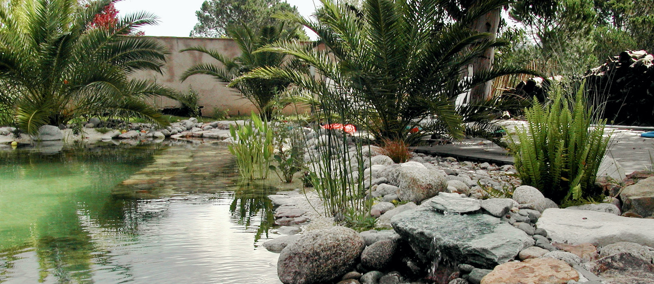 Piscine naturelle Corse