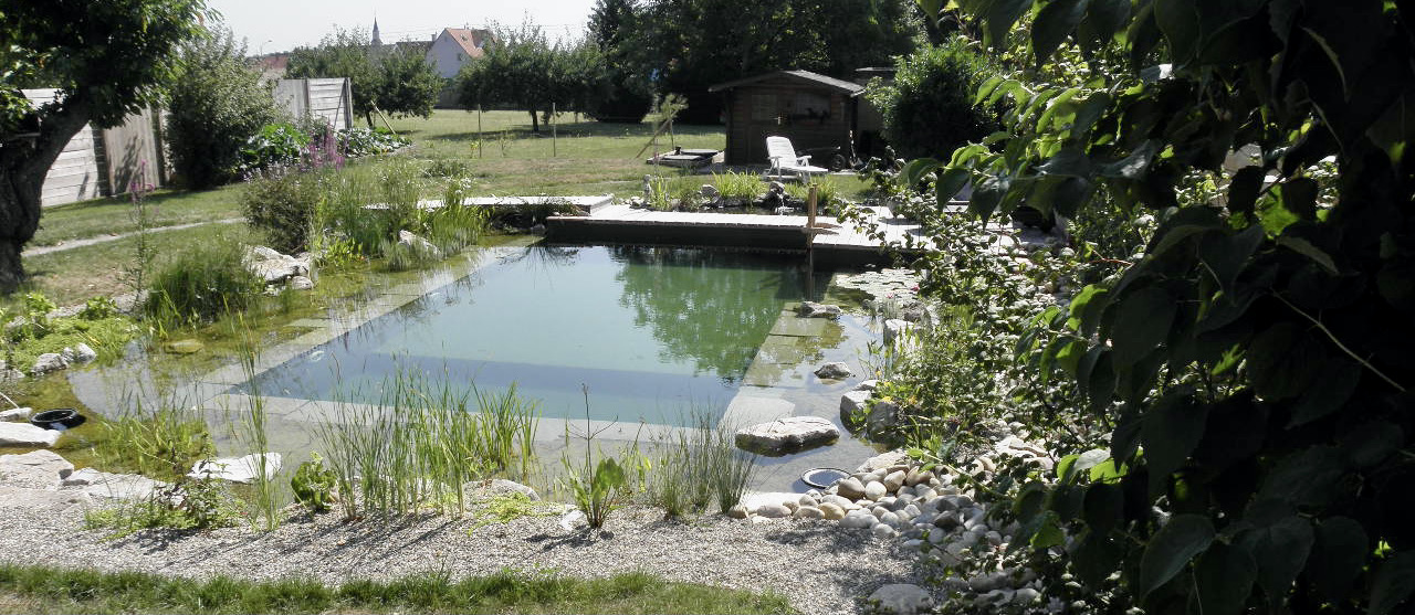 Piscine naturelle Alsace - 67