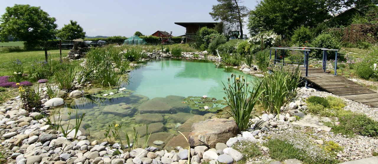 Piscine naturelle - filtration biologique BioNova