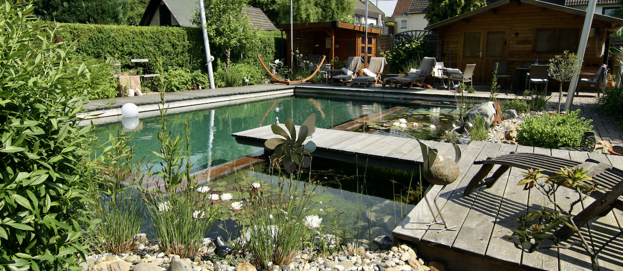 Bassin d'agrément et piscine naturelle - Maison et Paysage