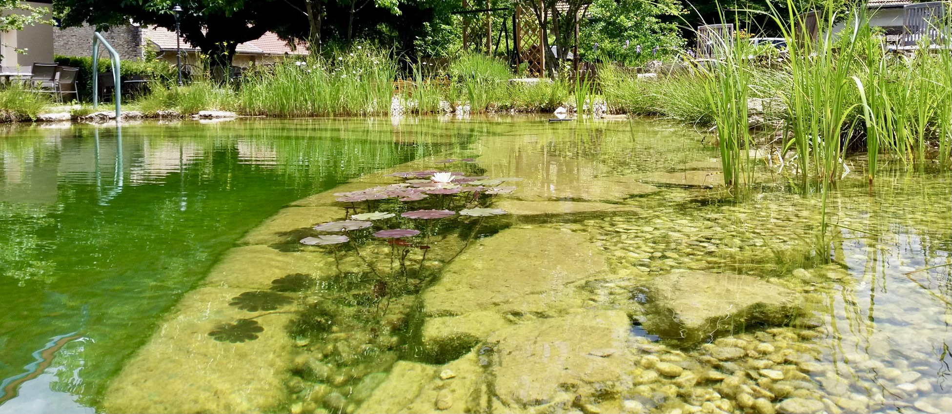 Piscine naturelle BioNova - Baignade paysagère