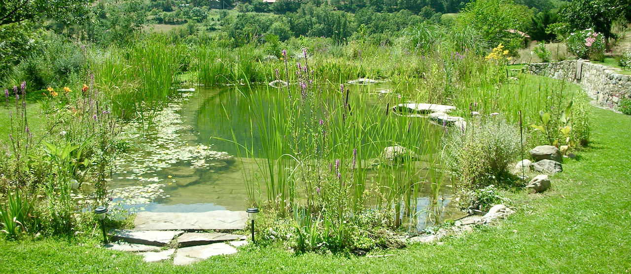 Piscine naturelle BioNova