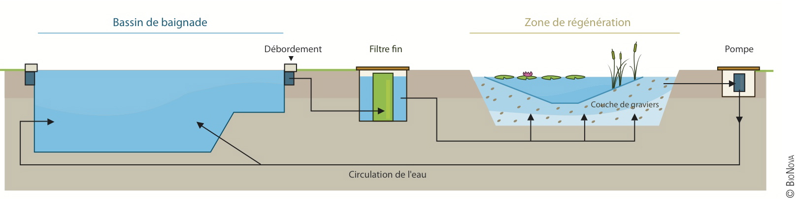 Principe de filtration biologique BioNova - Filtration biologique classique