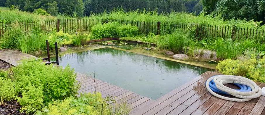 Piscine naturelle Haut-Rhin 68