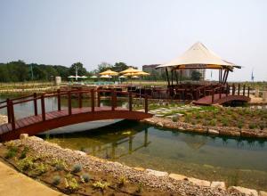 Piscine naturelle Hôtel  