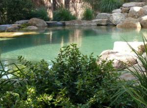 Piscine naturelle BioNova