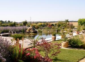 Piscine naturelle Deux Sèvres 