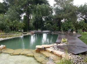 Piscine naturelle - Transformation Piscine Alpes Maritimes 06