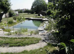 Piscine naturelle Alsace 