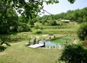 Piscine naturelle camping Tarn et Garonne