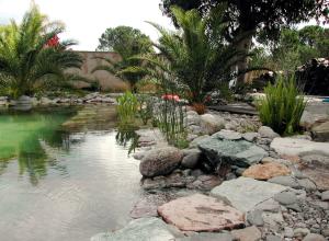 Piscine naturelle Corse