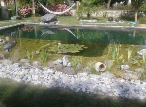 Piscine naturelle Charente Maritime - 17