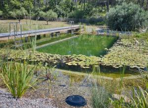 Piscine écologique Bouches du Rhône