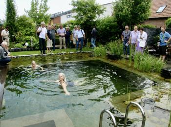 Piscine écologique 