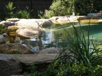 Piscine naturelle BioNova