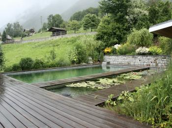 Piscine naturelle Alpes 73