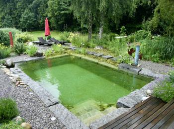 Piscine naturelle Alpes 74