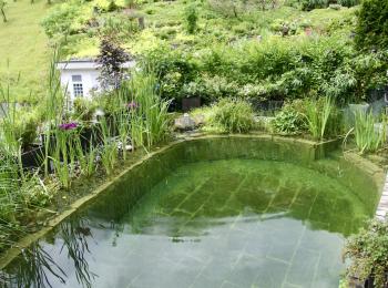 Piscine naturelle Alpes Suisse