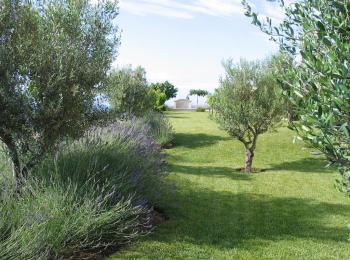 Piscine naturelle Var