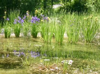 Baignade biologique publique Tarn et Garonne