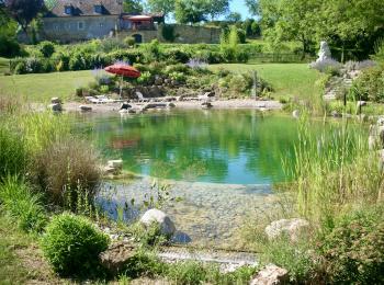 Baignade écologique gîte