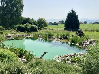 Piscine naturelle BioNova