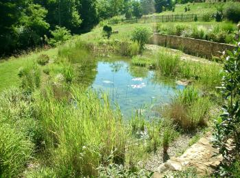 Baignade naturelle Dordogne - Gîte