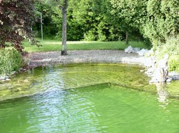 Piscine naturelle Haute Garonne 