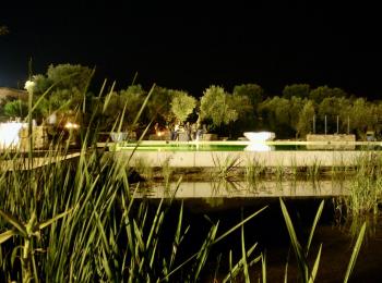 Piscine biologique Hôtel Italie