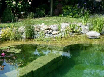 Piscine naturelle BioNova - Allemagne