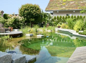 Piscine naturelle BioNova - Allemagne