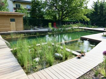 Piscine naturelle BioNova