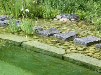 Piscine naturelle BioNova  