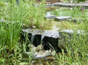 Piscine naturelle BioNova