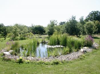 Piscine naturelle Gîte Tarn et Garonne