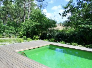 Piscine naturelle Landes