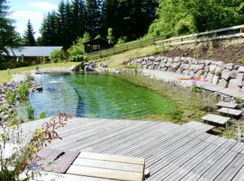 Piscine naturelle Alsace     