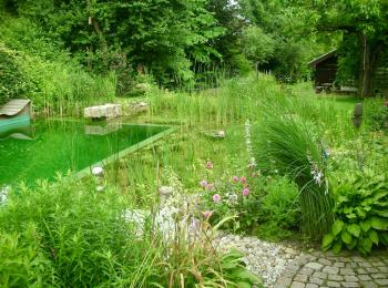 Piscine naturelle BioNova  